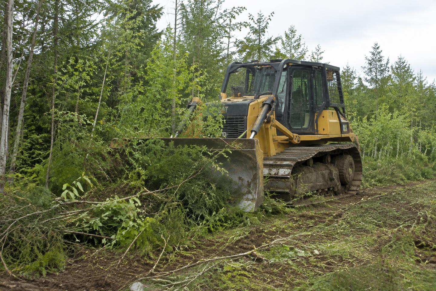 Bulldozer pushing through dense young trees and vegetation equipment on a wooded property — sample imagery