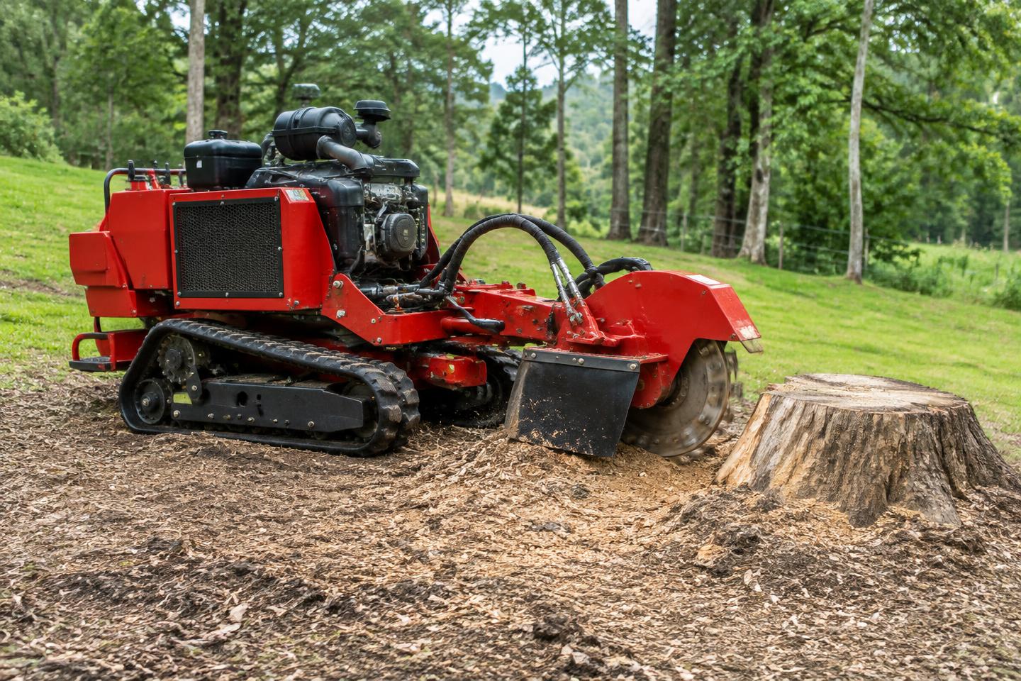Stump grinder next to a tree stump — sample imagery